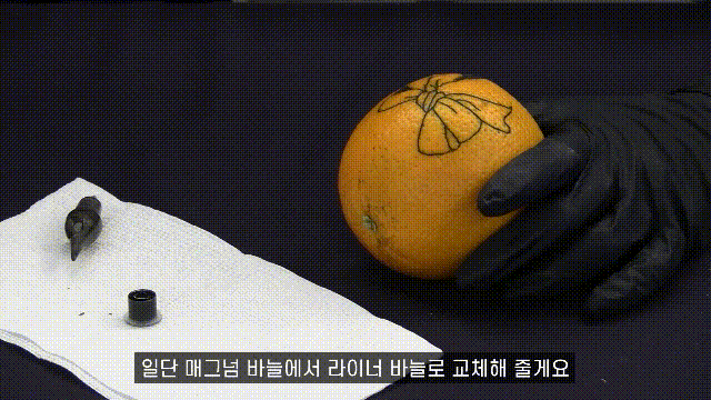 타투클래스, 타투스쿨